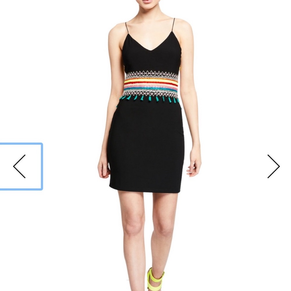 Alice + Olivia Embroidered Mini Dress